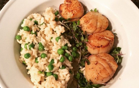 Hanna Yurkovetskaya Scallops and Rice